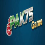 pak75-game