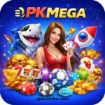 Pkmega game